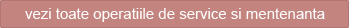 service si mentenanta